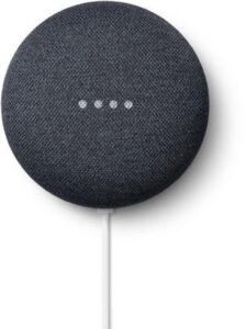 Nest mini